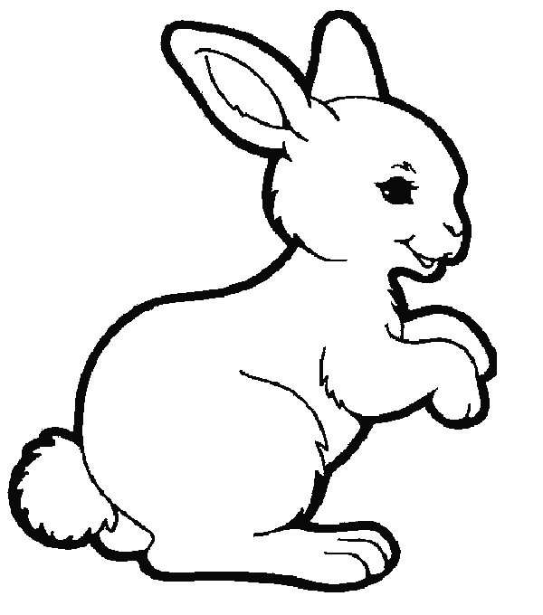 Kaninchen Malvorlagen