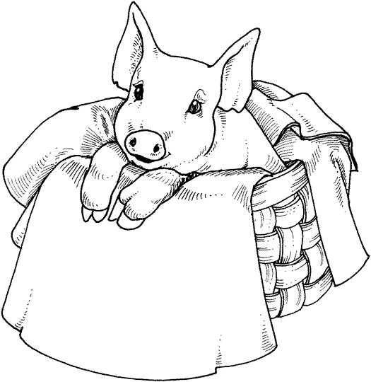 Schwein Malvorlagen